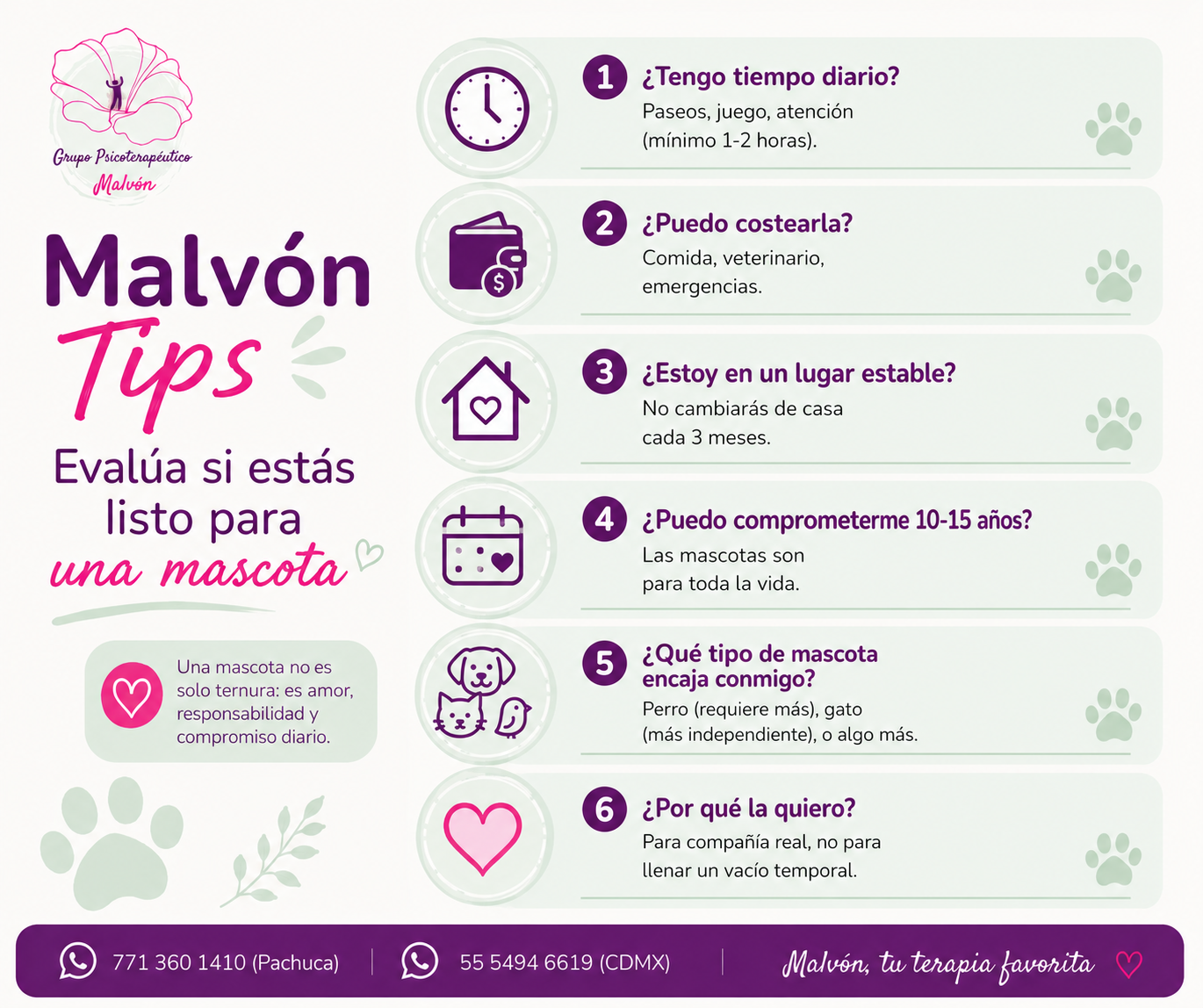 Imagen complementaria del artículo